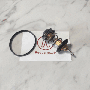 Thermostat (V8 Vantage)