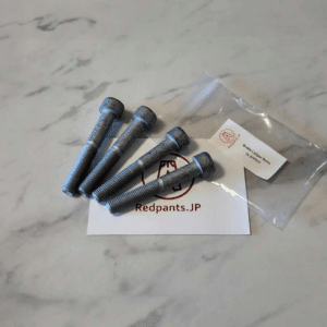 Brake Caliper Bolts (4-piston)
