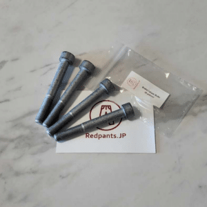 Brake Caliper Bolts (6-piston)