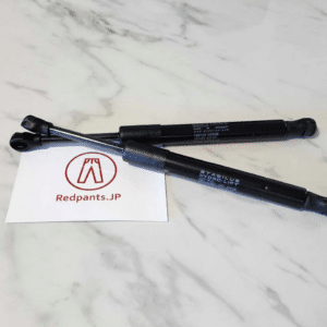 Door Struts (AM6 Vantage)